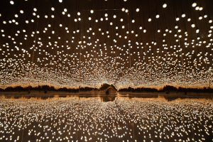 Меджик Парк