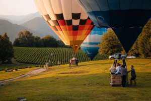 Солохаул Парк