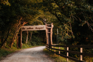 Солохаул Парк