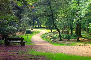Центральный парк культуры и отдыха им. М. Горького