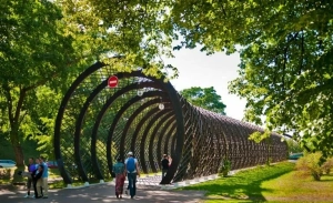 Нескучный сад