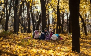 Нескучный сад