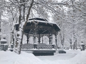 Сад Эрмитаж