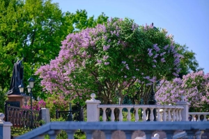 Александровский сад