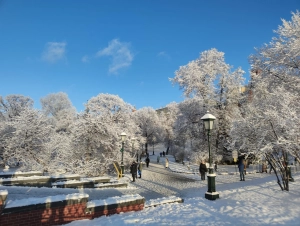 Александровский сад