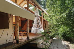 Южный Вайб Древо