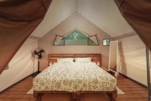 Южный Вайб Древо