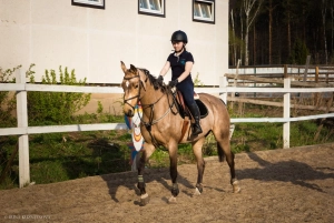 Лошади Дзержинский