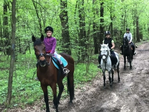 Конный прокат