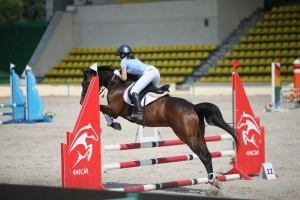 Конный прокат