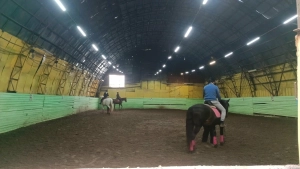 Школа верховой езды Резонанс