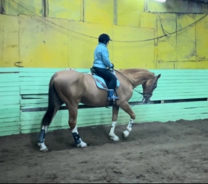 Школа верховой езды Резонанс