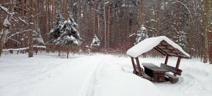 Алтуфьевский комплексный заказник