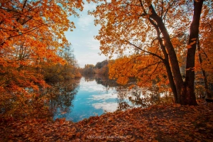 Экологическая тропа 