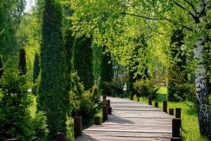 Босоногая тропа