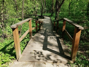 Босоногая тропа