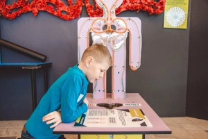 Анатомикум