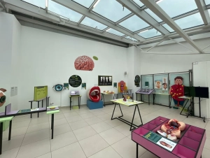 Анатомикум