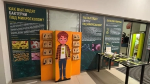 Анатомикум