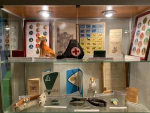 Музей Собаки