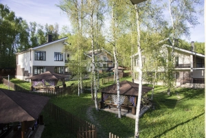 Своя Деревня