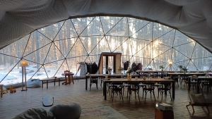 Вили Улей ОКА