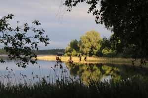 Берег желаний