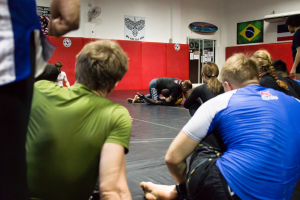 Клуб единоборств Mma Dojo