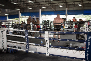 Клуб единоборств Mma Dojo