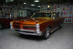 Автомузей Ника Панули