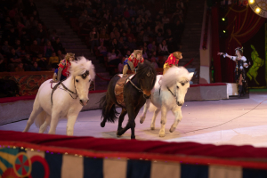 Сочинский государственный цирк