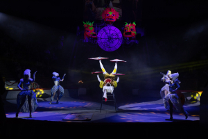 Сочинский государственный цирк