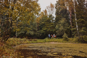 Конный клуб 