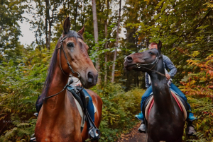 Конный клуб 