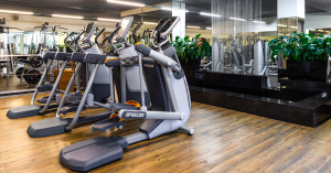 Parus Парадный