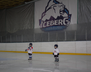 Айсберг Арена