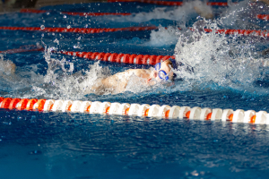 Дворец спорта Алмаз-Антей