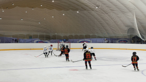 Ледовая арена 