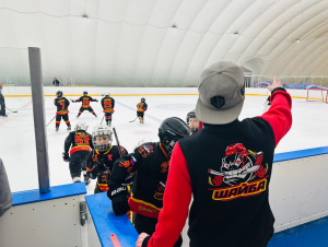 Ледовая арена 