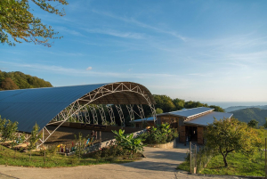 Экоферма Экзархо