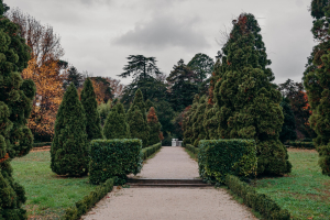 Парк Южные культуры