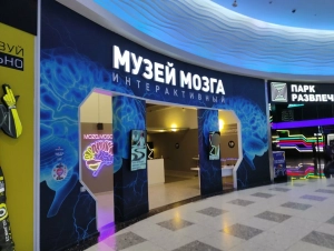 Музей Мозга