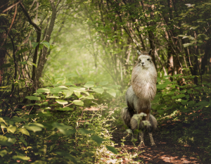 Альпака Парк