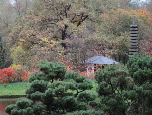 Главный ботанический сад имени Н.В. Цицина Российской академии наук