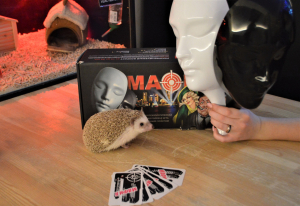 Ежеминутка