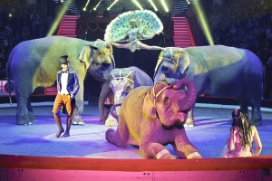 Московский цирк Никулина