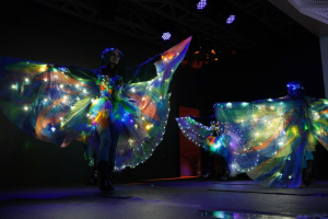 Московская усадьба деда мороза