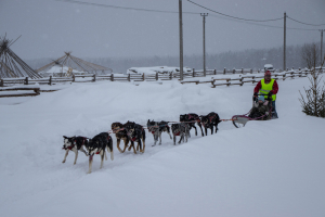 Этнопарк «Кочевник»