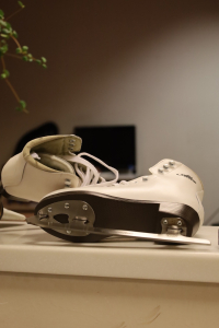 Ледовый центр Галактика