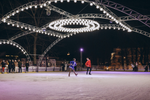 Каток в саду 